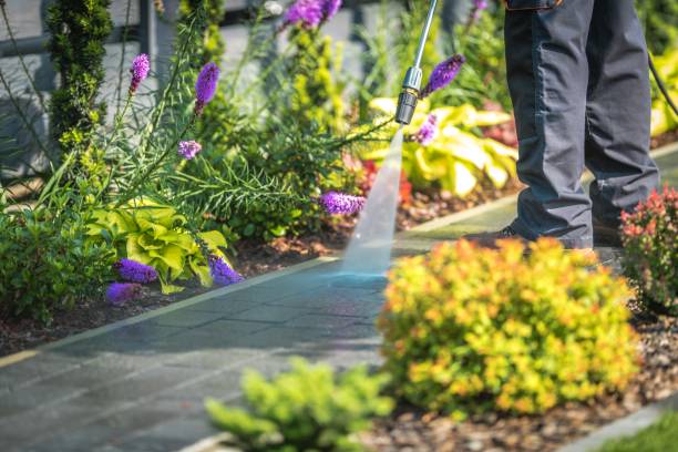 Best Driveway Cleaning and Restoration in Oakwood, IL